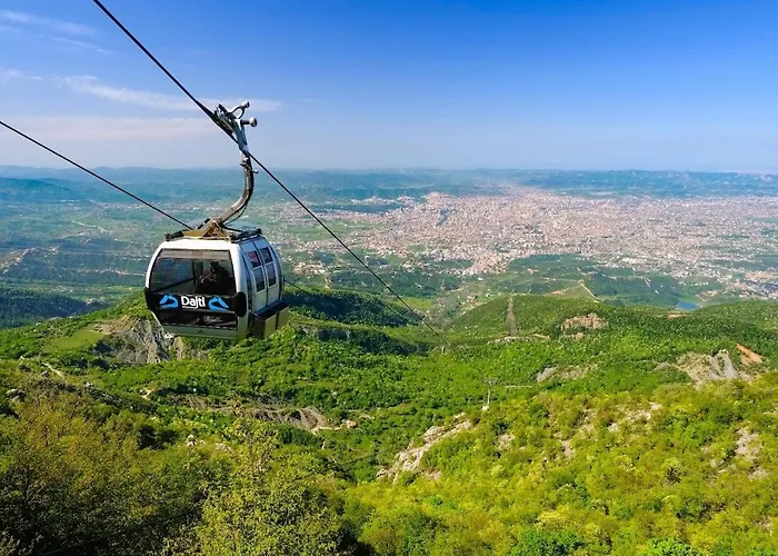 Serenity - Center * Tirana