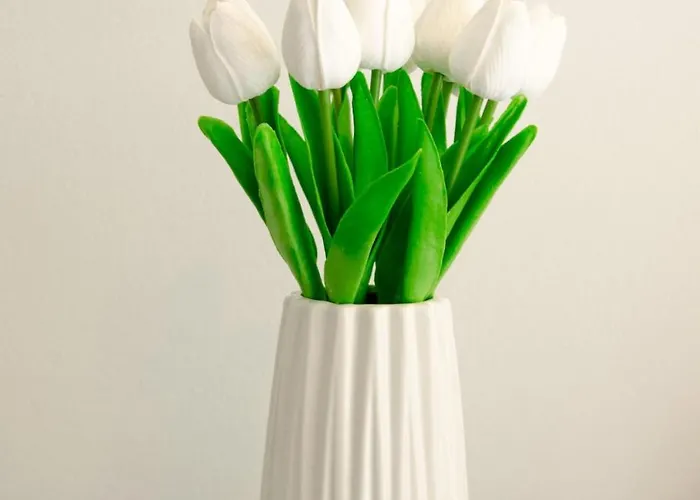 Serenity - Center Tirana